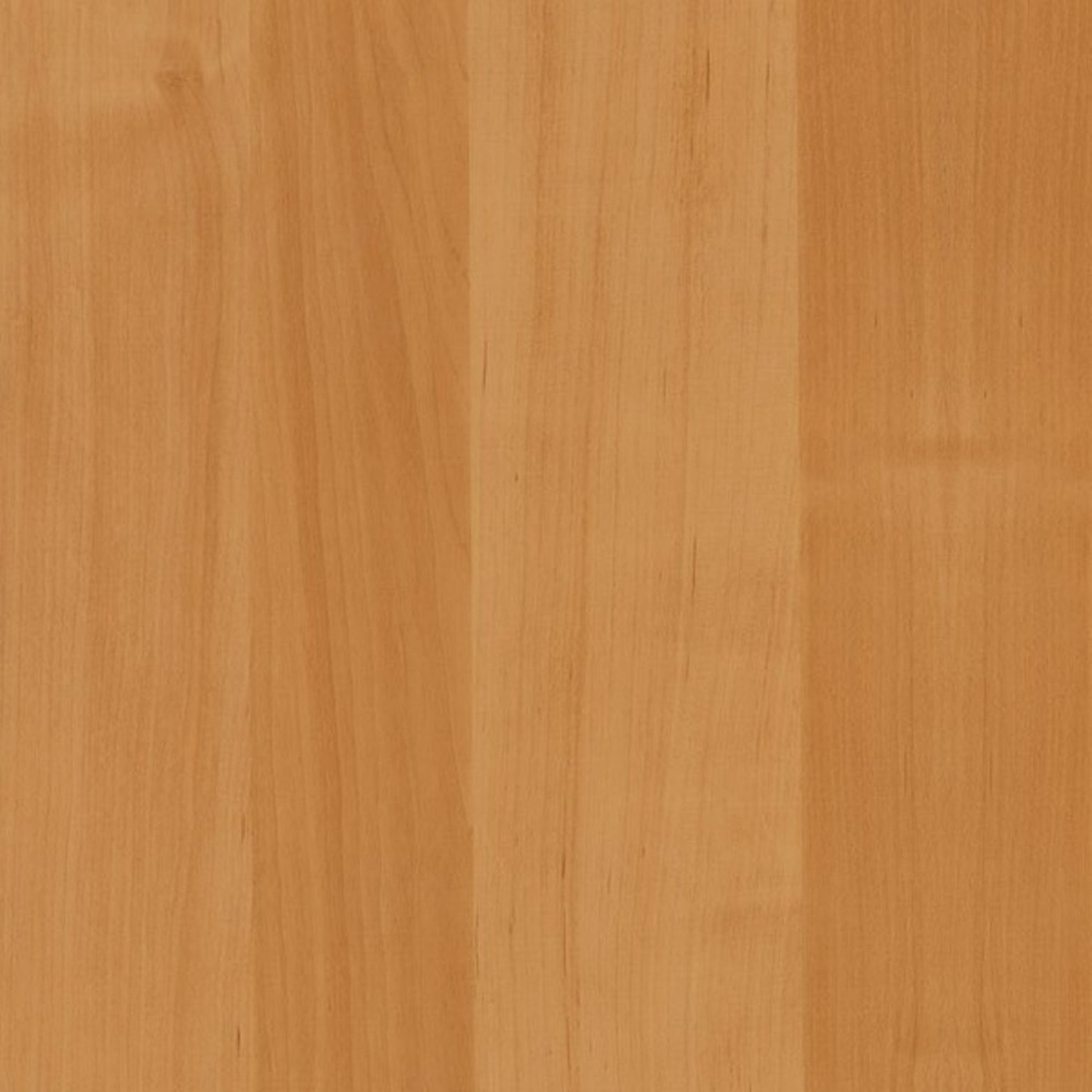 Alder Light